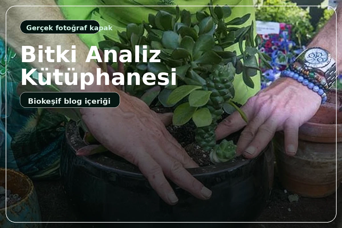 Bitki Analiz gerçek kapak görseli