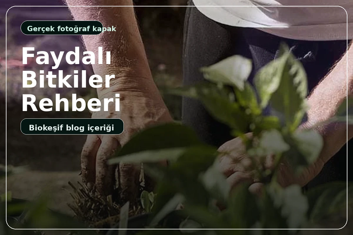 Faydali Bitkiler gerçek kapak görseli